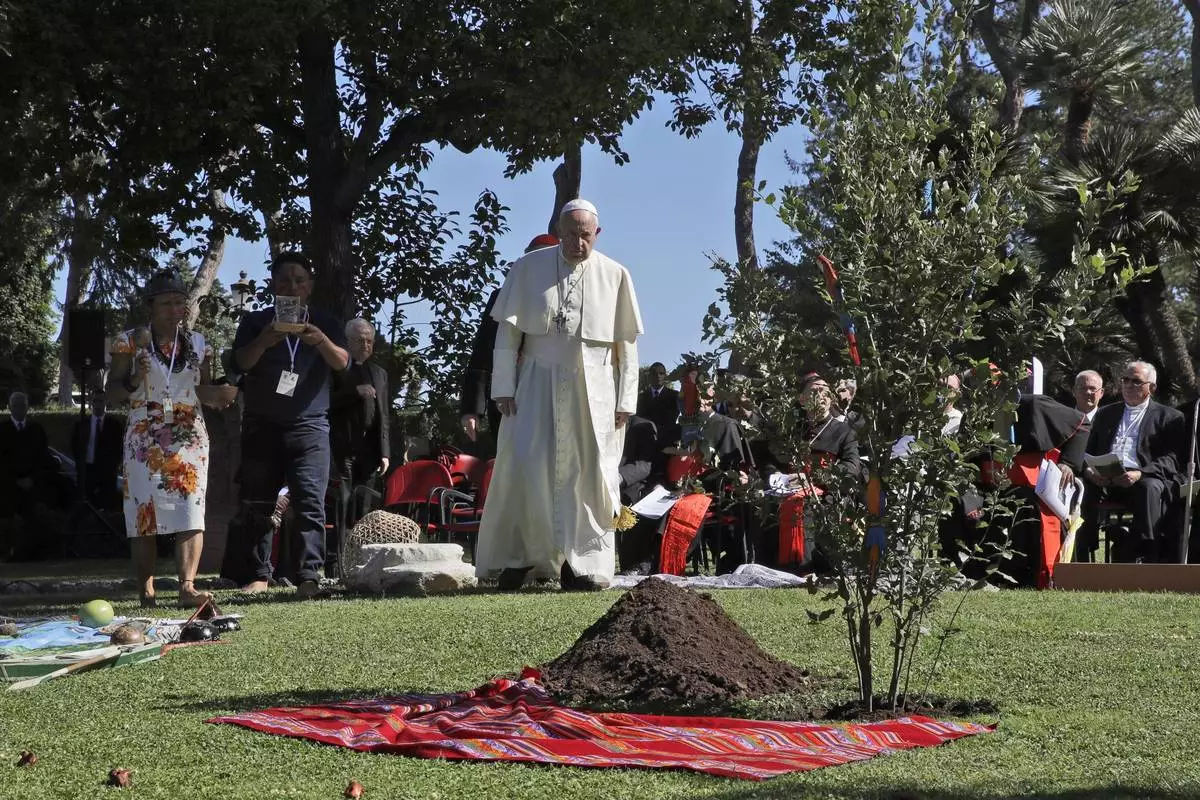 FILE - Pope Francis walks towards a newly planted oak tree during a tree-planting ceremony during the feast of St. Francis of Assisi, the patron saint of ecology, at the Vatican, Oct. 4, 2019. (AP Photo/Alessandra Tarantino, File)