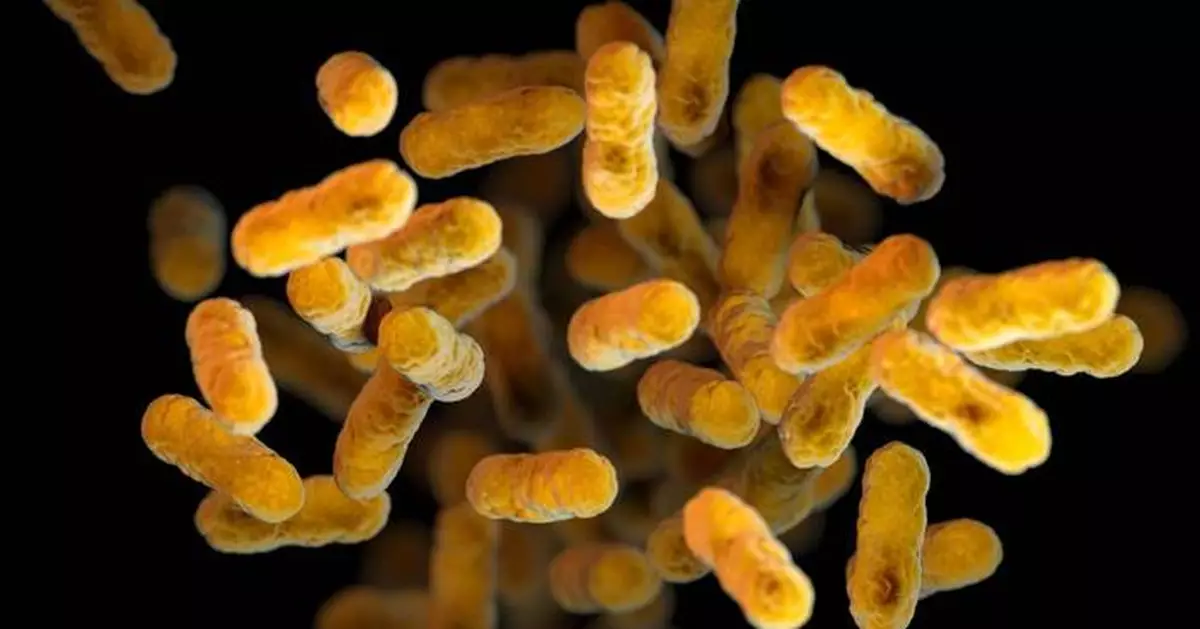 Whooping cough cases are rising again in the US