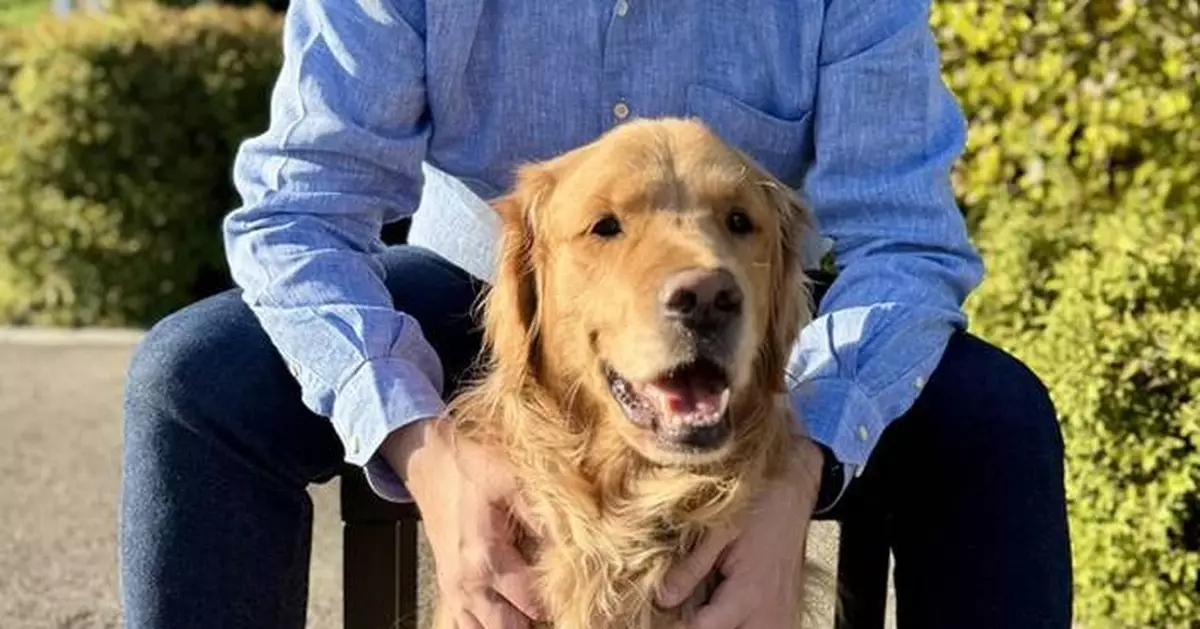 Helio Fujita joins Mars as Global People &amp; Organization VP for Petcare business