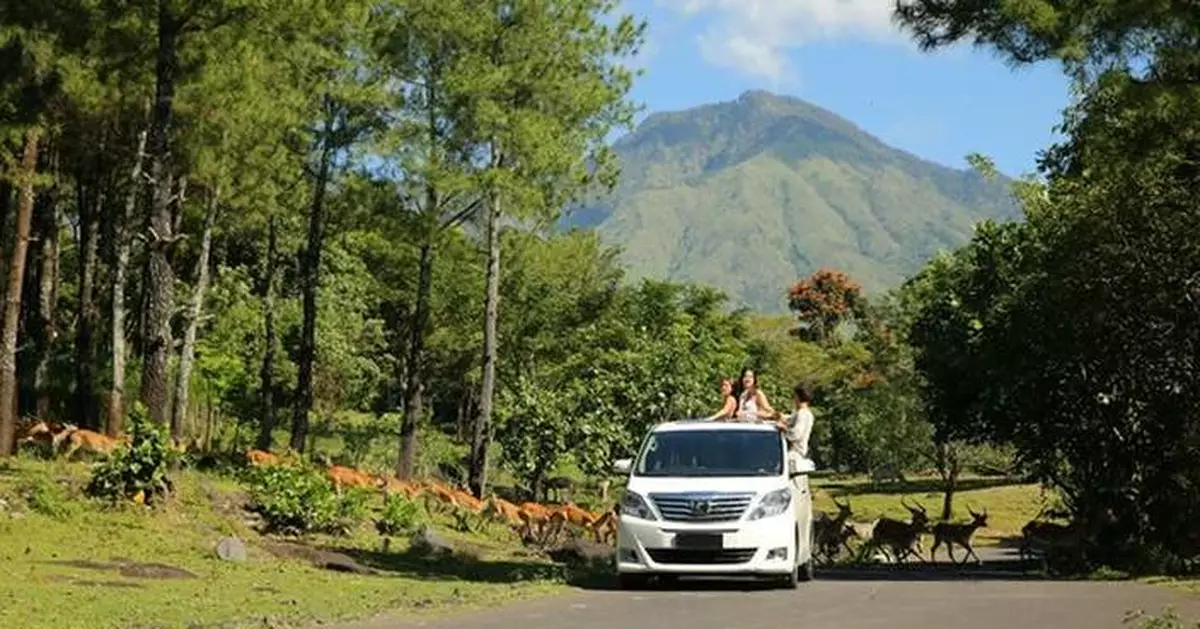 Taman Safari Indonesia: Go Wild the Sustainable Way African Style Safari in the Heart of Indonesia