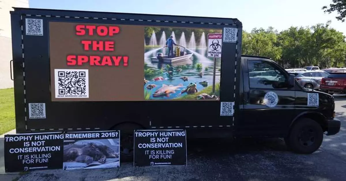 Florida gives preliminary approval to controversial black bear hunt amid strong opposition