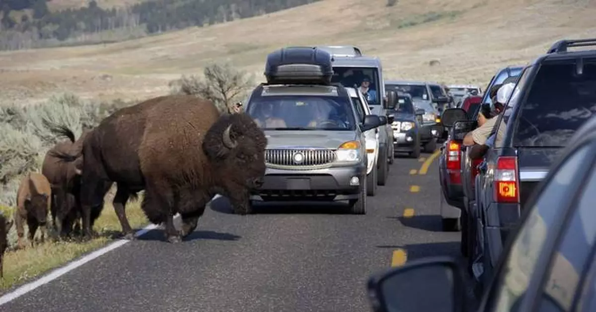International tourists killed in vehicle crash were among millions drawn to the Yellowstone area
