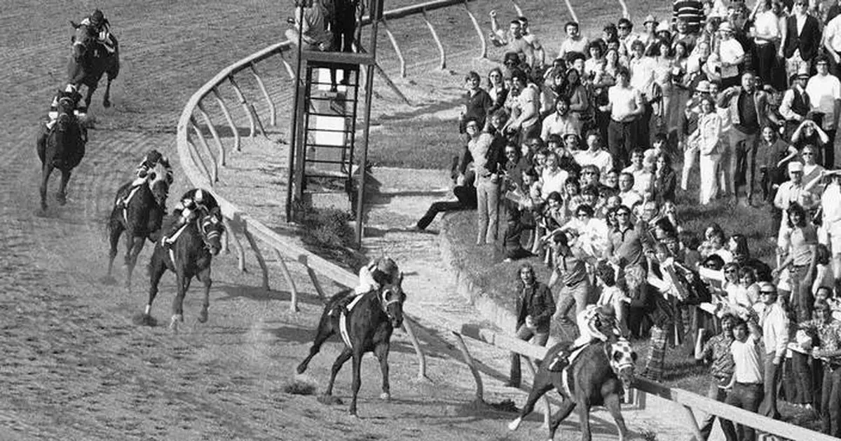 The 150th Preakness is the last at old Pimlico before demolition. Winners share their top memories
