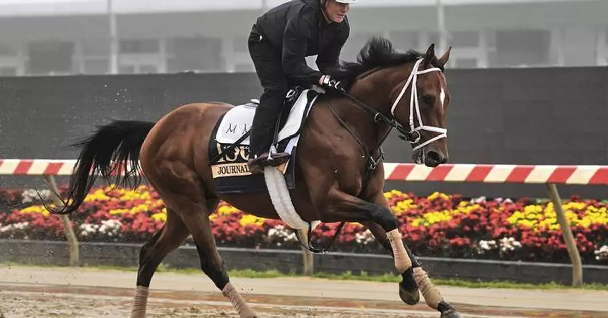 Journalism is the horse to beat in the Preakness. But recent trends show it won't be easy