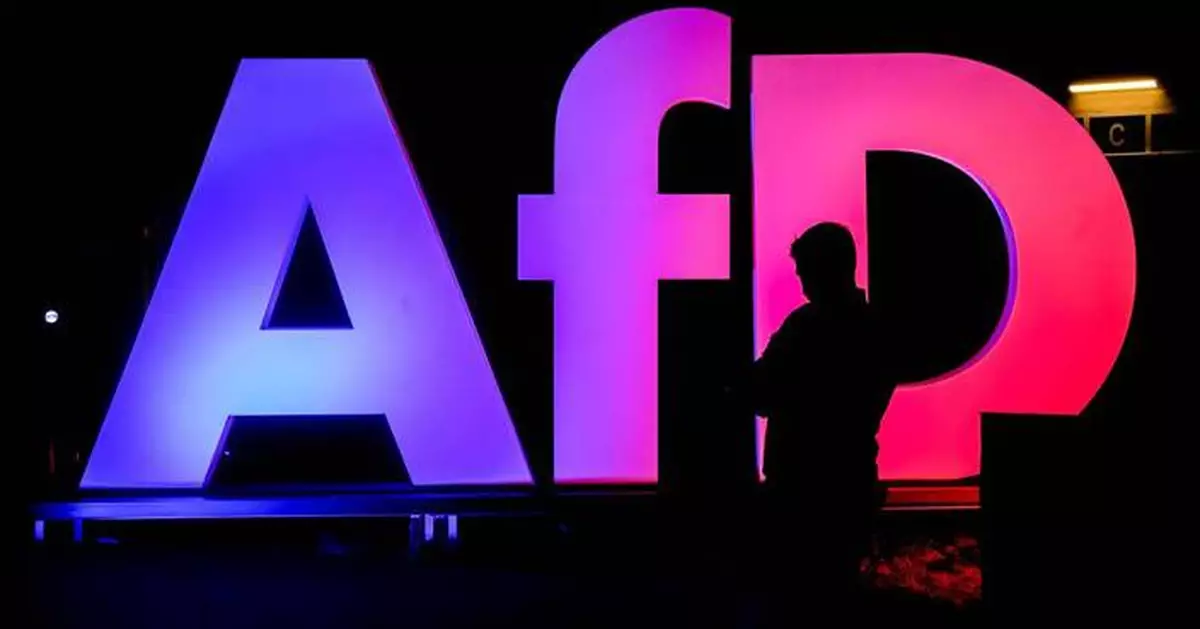 Alternative for Germany is listed as a 'right-wing extremist' party by domestic intelligence agency