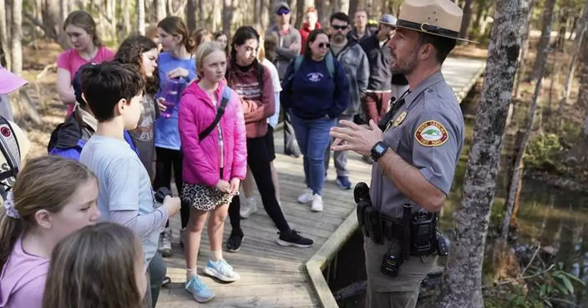 Insect-eating Venus flytraps thrive in the Carolinas as hikers peek into their native ecosystem