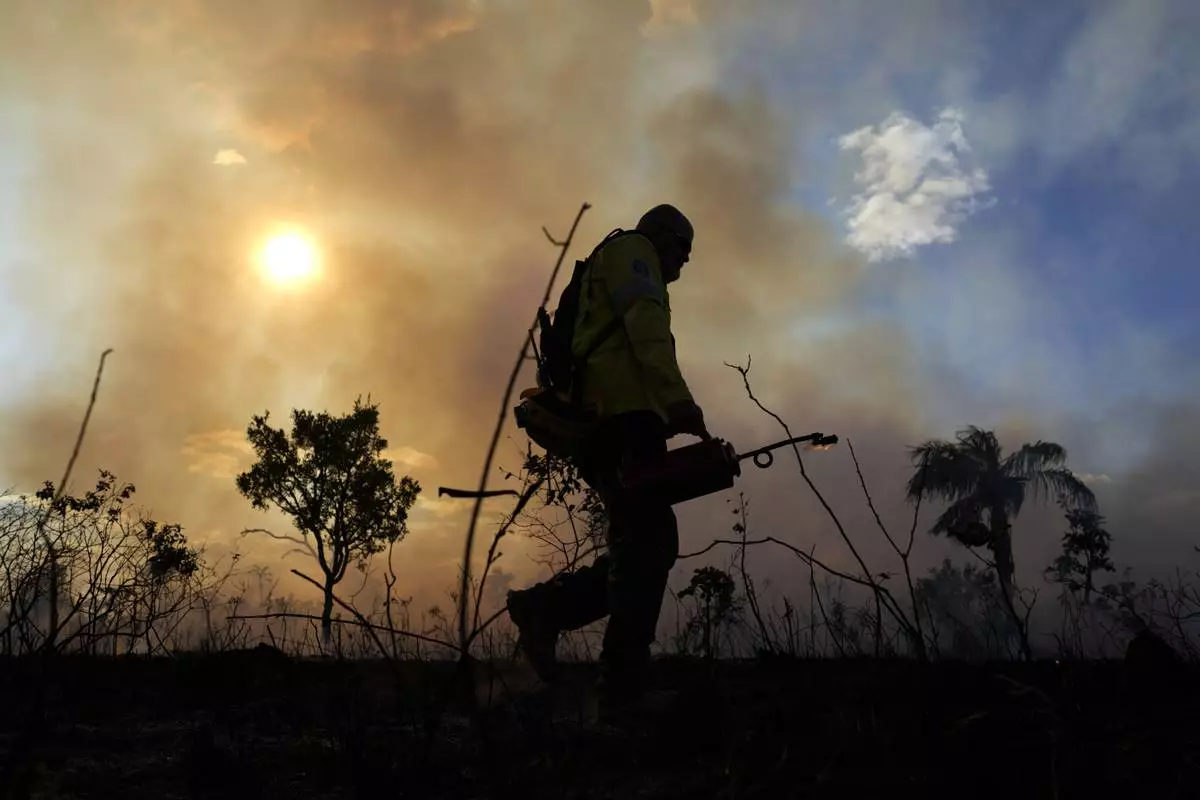 A firefighter sets the forest ablaze as part of a controlled plan to prevent wildfires in the Cerrado region, at a national park in Brasilia, Brazil, Tuesday, May 20, 2025. (AP Photo/Eraldo Peres)