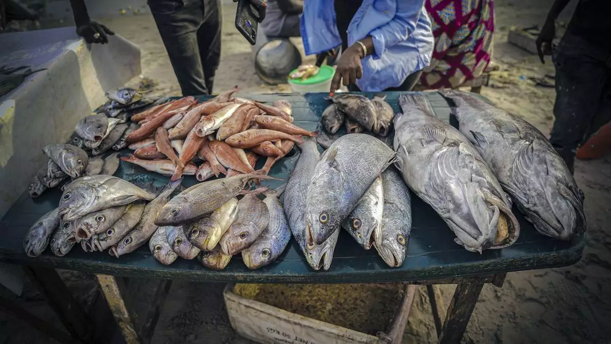 FILE - Various species of fish are displayed at the Soumbedioune fish market in Dakar, Senegal, May 31, 2022. (AP Photo/Grace Ekpu, File)
