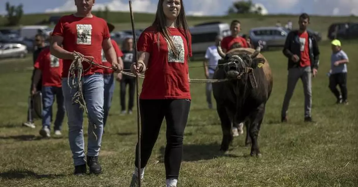 AP PHOTOS: A teenage bullfighting enthusiast celebrates victories in Bosnia