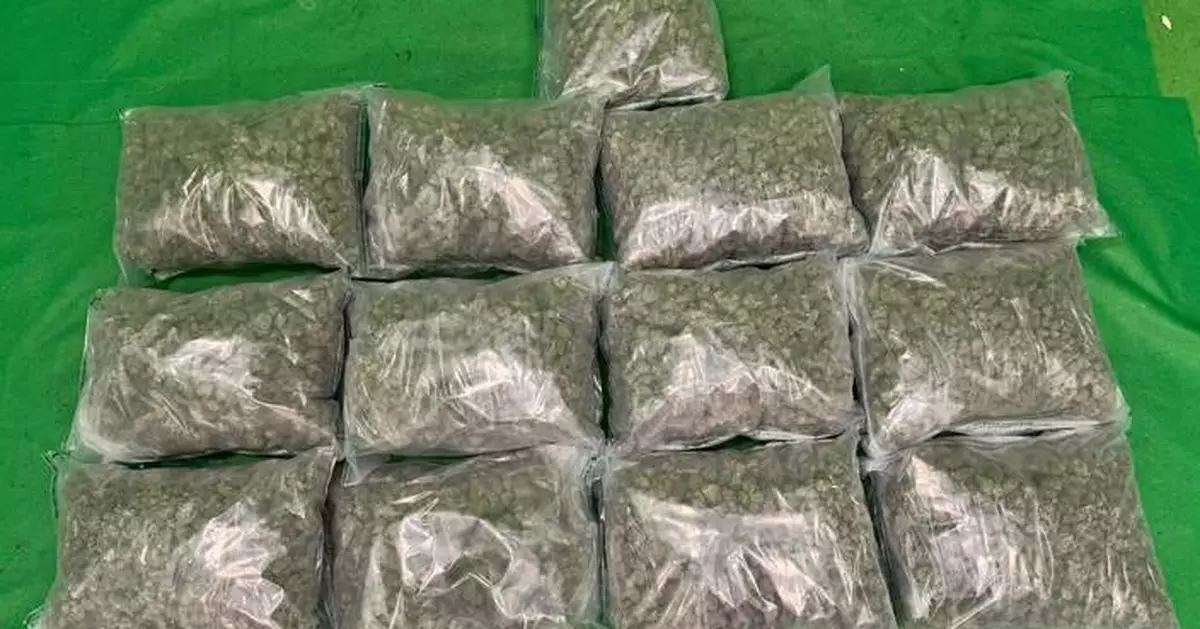 Hong Kong Customs Seizes 12kg of Cannabis Buds Worth $2.6 Million at Airport, Arrests 18-Year-Old Passenger
