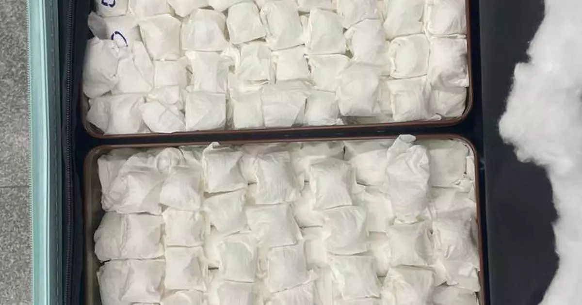 Thai man sentenced to 24 months for smuggling 187 endangered parrot eggs in Hong Kong.