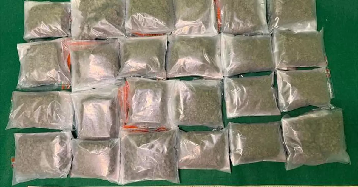 Hong Kong Customs Seizes 13kg of Cannabis, Arrests Foreign Passenger at Airport