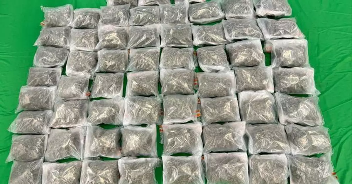 Hong Kong Customs Seizes 32 Kilograms of Cannabis Buds at Airport, Arrests Female Passenger