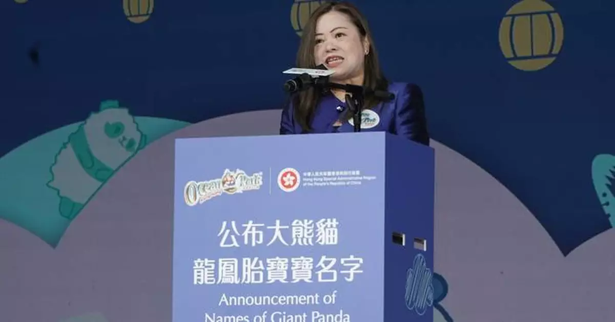 Hong Kong Unveils Names for Giant Panda Twin Cubs: Jia Jia and De De