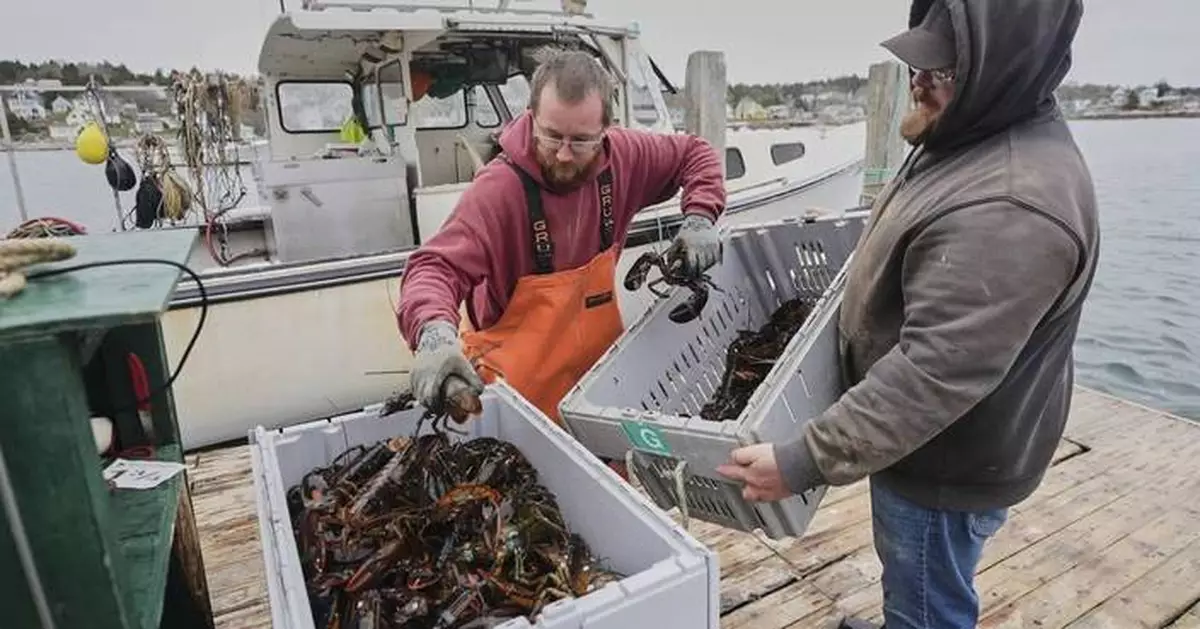 Fishermen battling with changing oceans chart new course after Trump's push to deregulate
