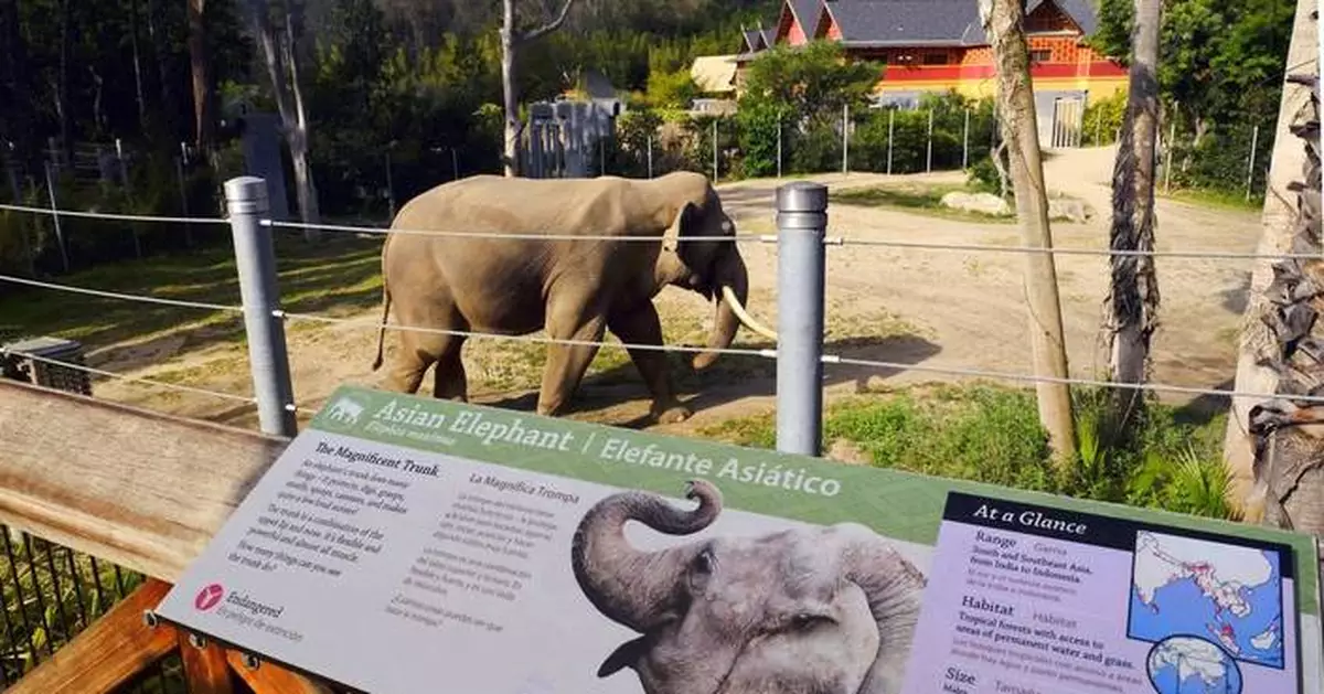 Aging elephants moved from Los Angeles to Tulsa Zoo, but advocates say they should be at a sanctuary