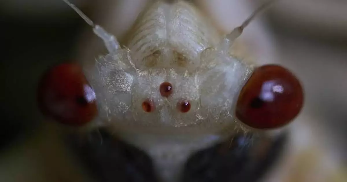 The top photos of the day by AP's photojournalists