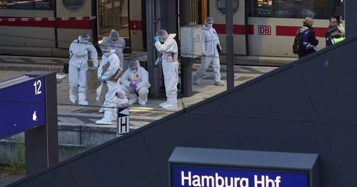 All injured in stable condition after stabbing at Hamburg train station in Germany