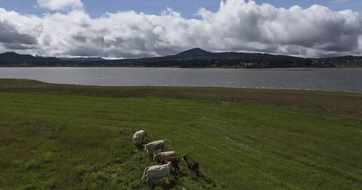 Mexico says US suspension of beef imports because of screwworm is unfair