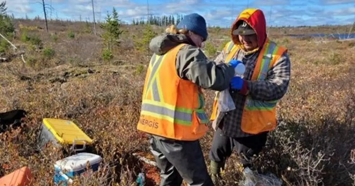 Patriot Provides Permitting Progress Update on the Shaakichiuwaanaan Lithium Project