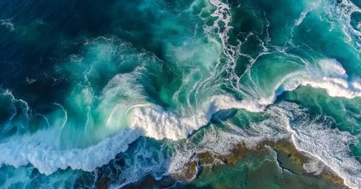 NOVOTEL CELEBRATES ONE YEAR OF OCEAN COMMITMENT AND SUSTAINABLE PARTNERSHIP WITH WWF