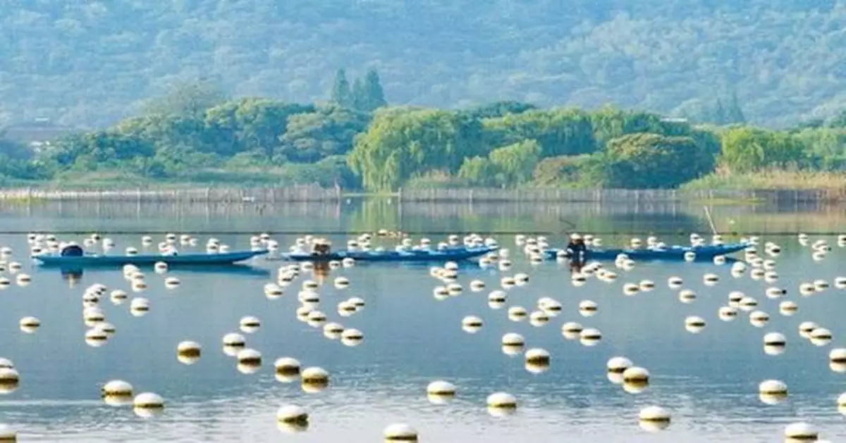 CCTV+: A Pearl of Wisdom: Deqing's Aquaculture Legacy Gains Global Recognition