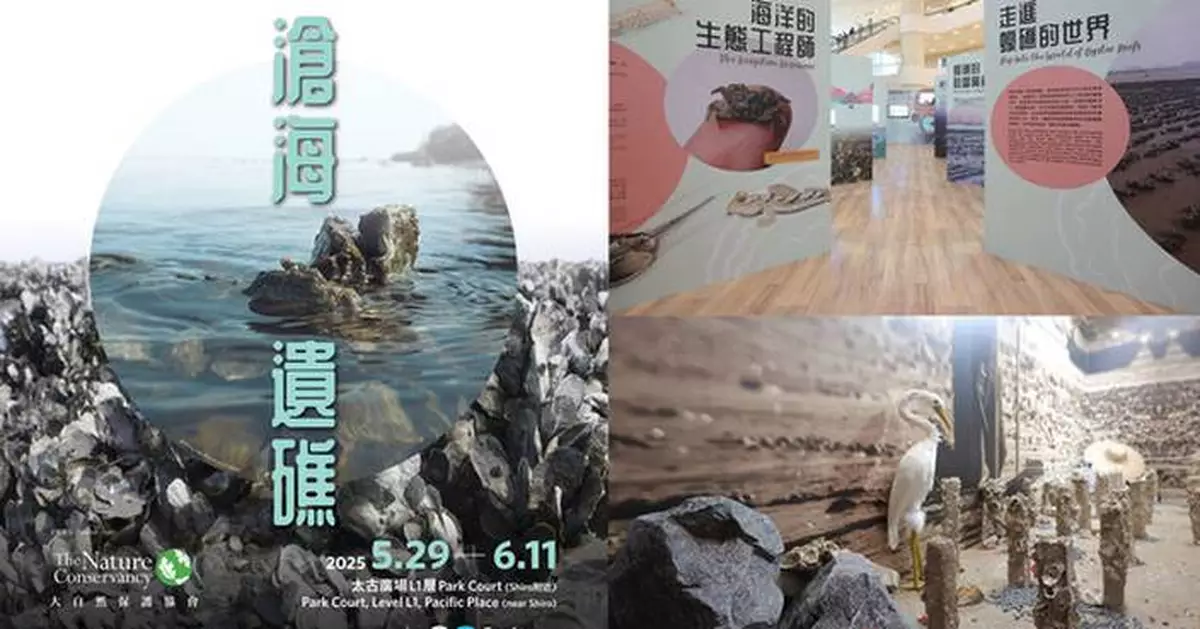 Reviving Hong Kong's Ocean Heritage – Our Forgotten Oyster Reefs