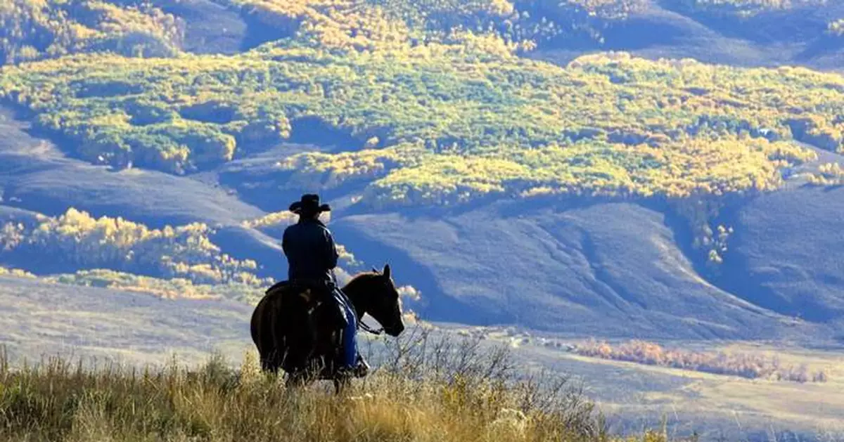 Trump administration plans to rescind rule blocking logging on national forest lands