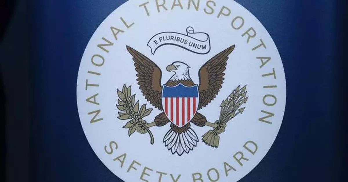 Pilot killed in small plane crash in North Carolina raised a wheel to avoid a turtle, NTSB says