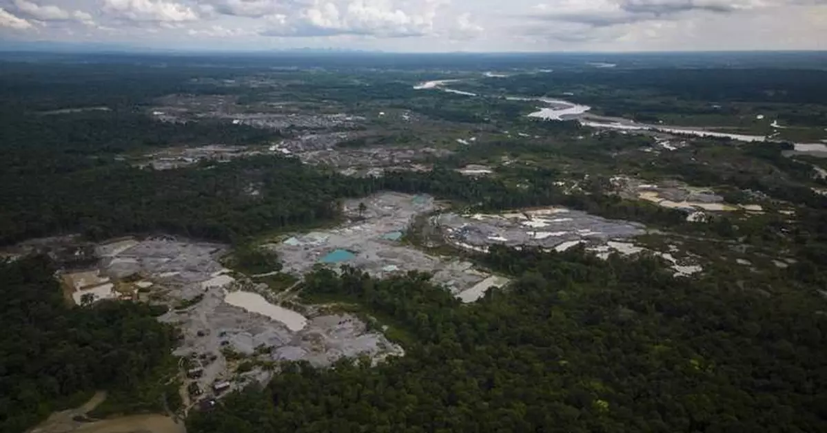 Colombia reports 33% drop in deforestation in early 2025, with major progress in Amazon parks