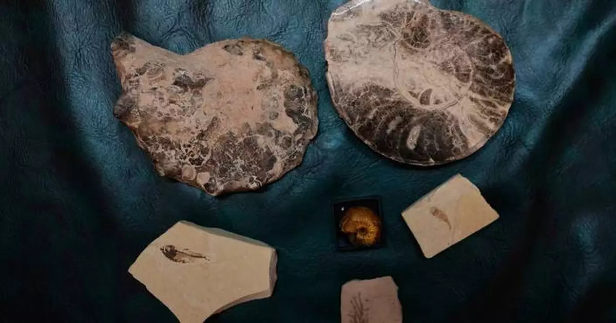 India's self-proclaimed 'history hunter' is on a drive to salvage the past for future generations