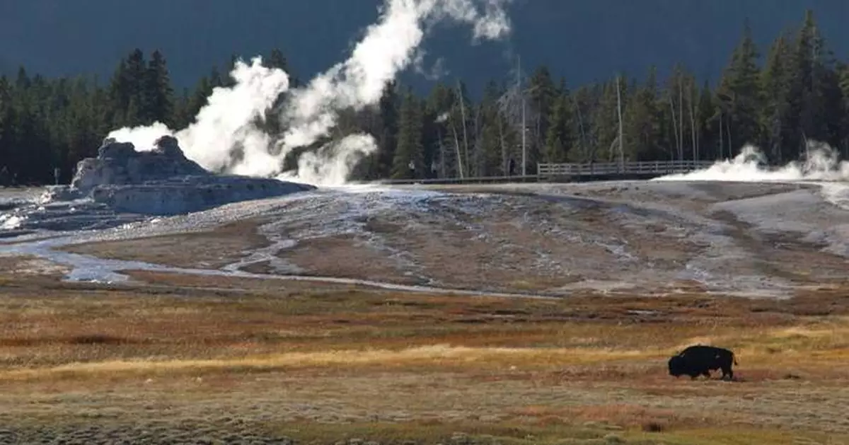 Bison gores man in Yellowstone after visitors get too close