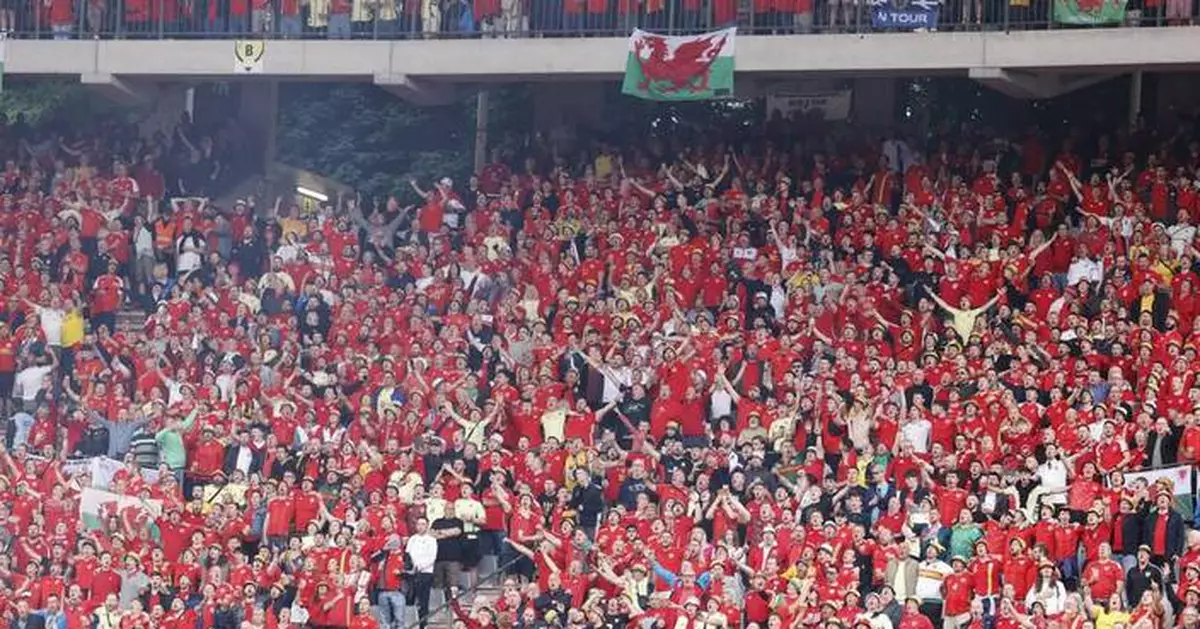 Fan taken to hospital after falling from stand during Belgium-Wales soccer match