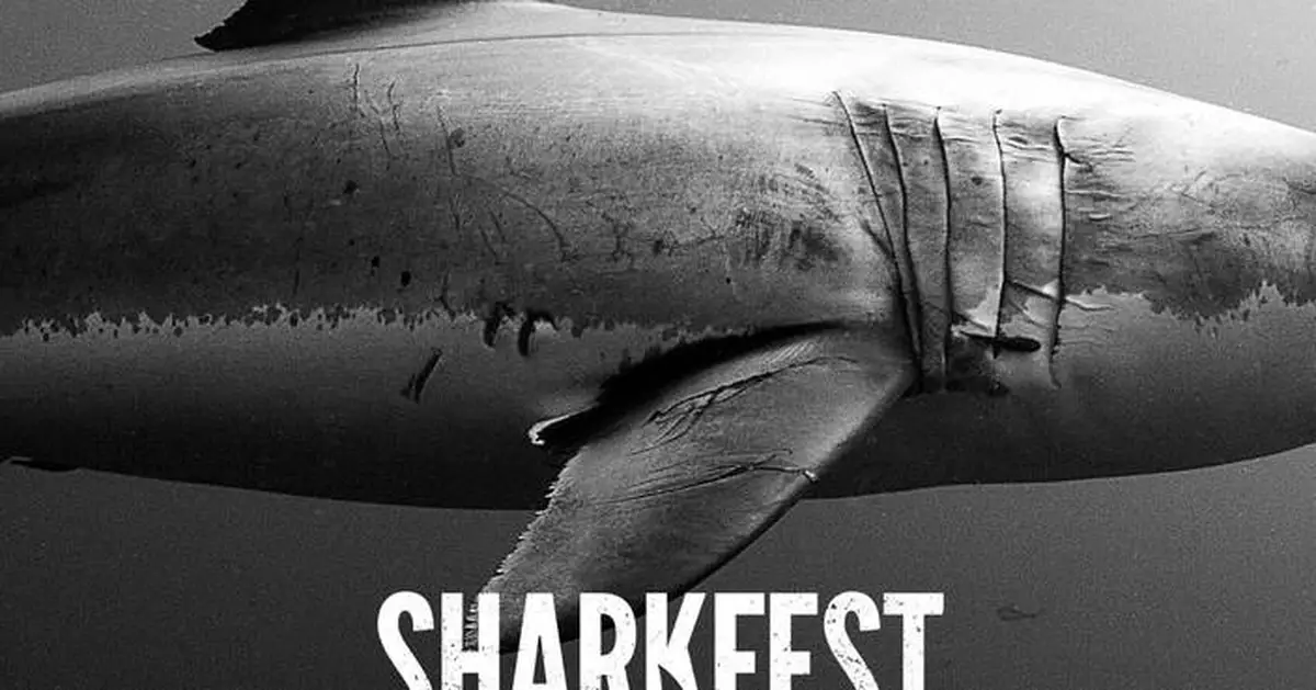 National Geographic’s Fin-Favorite Summer Event Returns With Over 25 Hours of Shark-Infested Programming, Including JAWS @ 50: THE DEFINITIVE INSIDE STORY and SHARKS UP CLOSE WITH BERTIE GREGORY