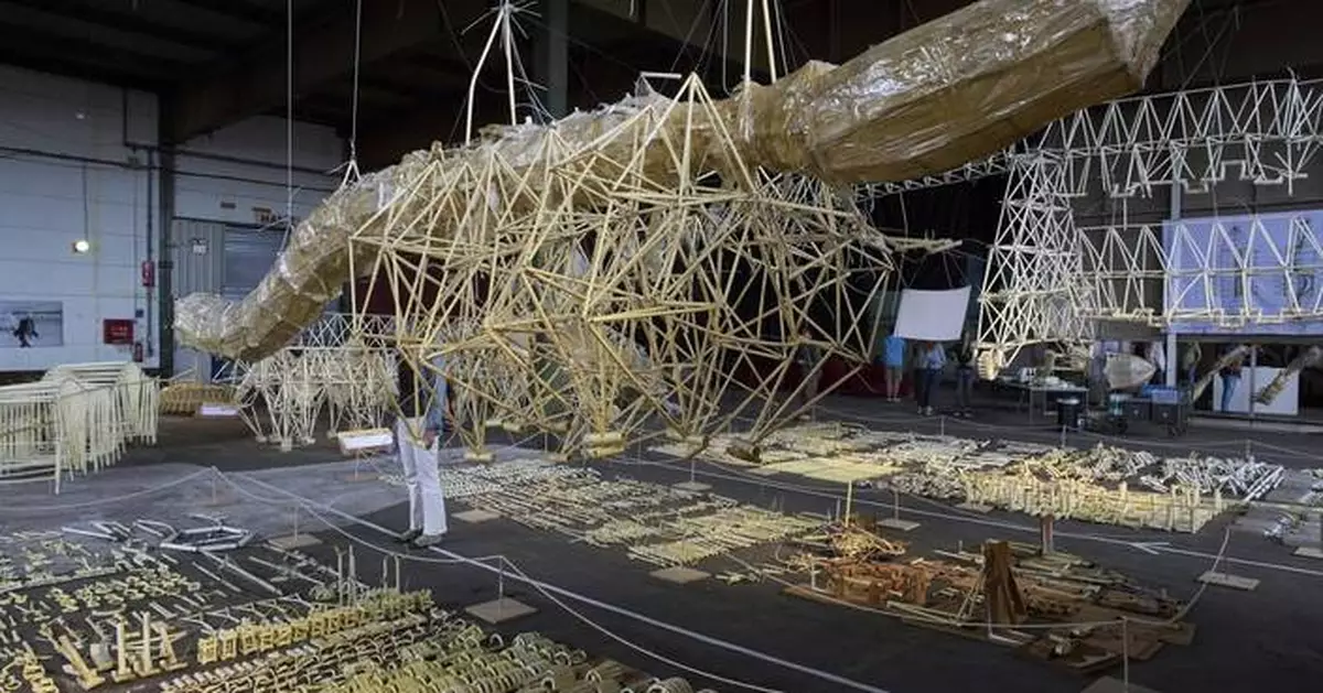 Dutch beach beasts find a final resting place in a new exhibition