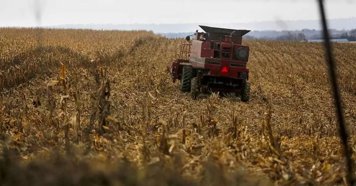 Wisconsin dairy farmer sues Trump administration claiming discrimination against white farmers