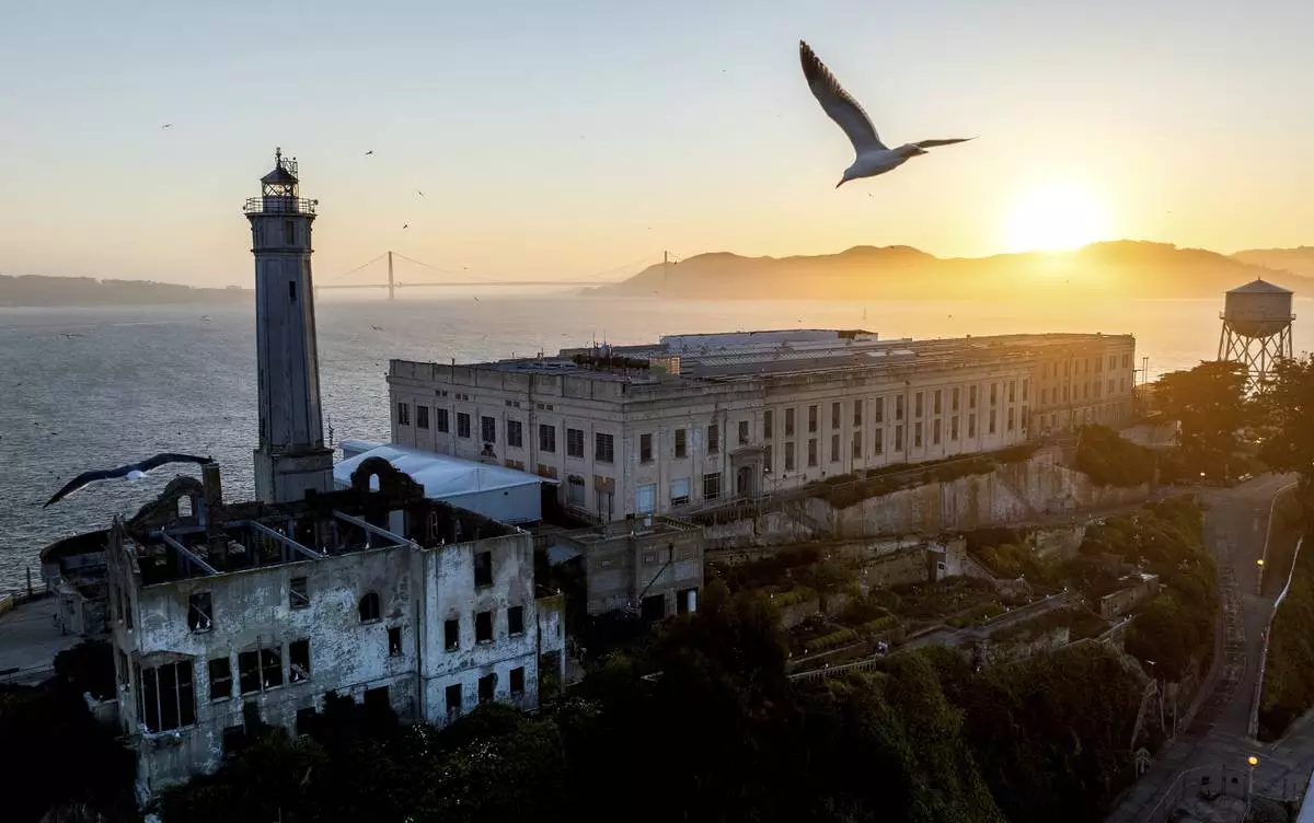 A bird flies above Alcatraz Island, May 4, 2025, in the San Francisco Bay, California. (AP Photo/Noah Berger)