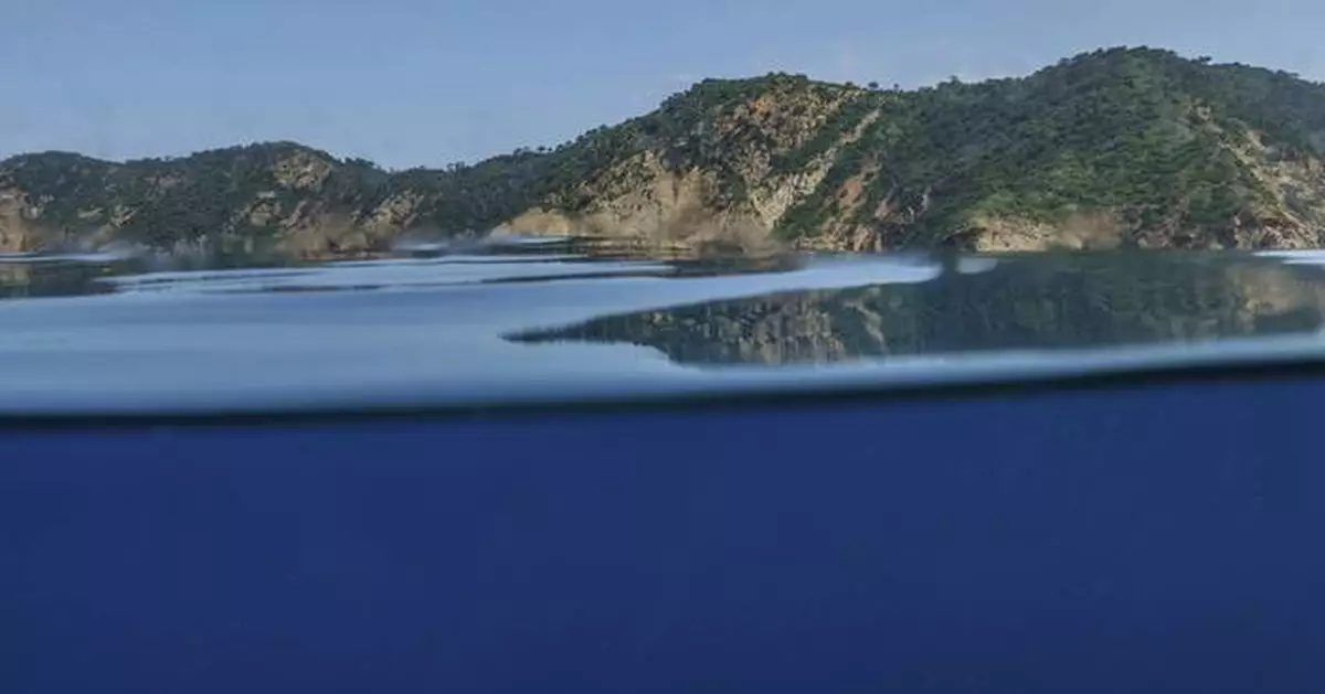 The UN Ocean Conference tries to turn promises into protection