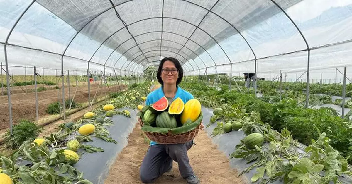 Local Organic Watermelon Festival 2025: Celebrate Sustainable Farming and Taste Four Unique Watermelon Varieties!
