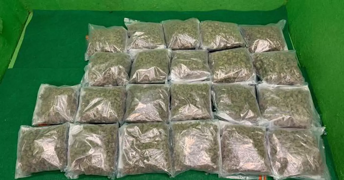 Hong Kong Customs Seizes 35kg of Cannabis Buds, Arrests Two Traffickers at Airport