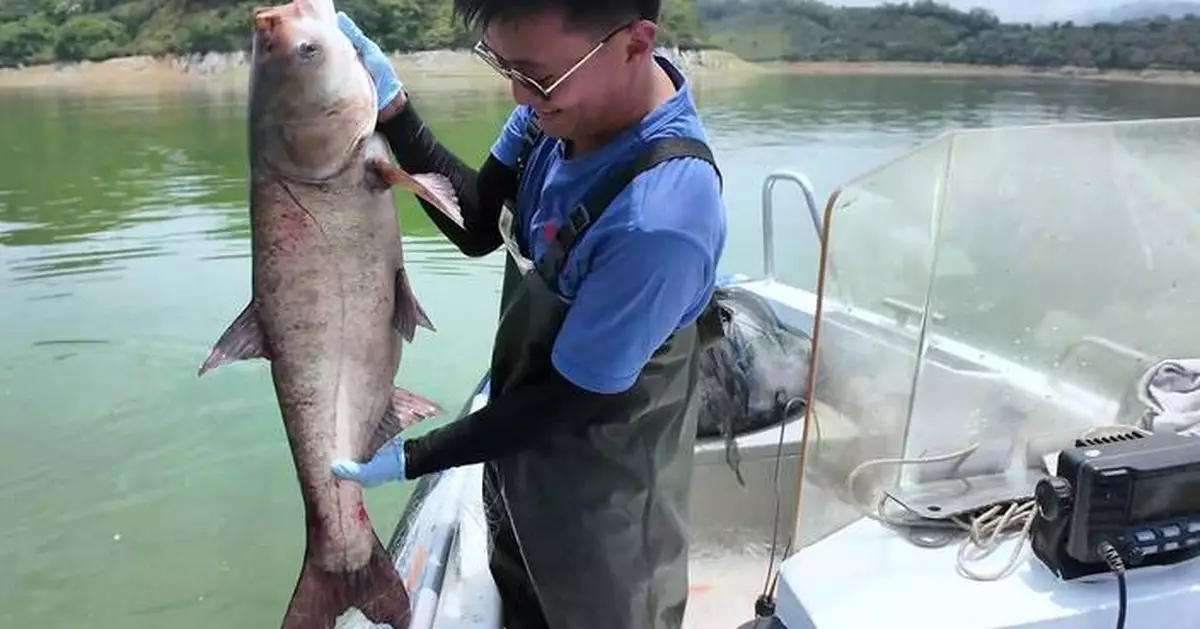 Celebrate 60 Years of Dongjiang Water: Join the Good Water Good Fish Logo Design Competition!