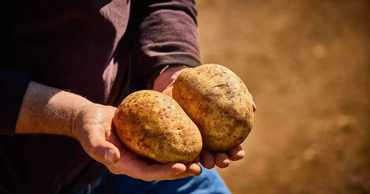 Lamb Weston Issues New Global Sustainability Report