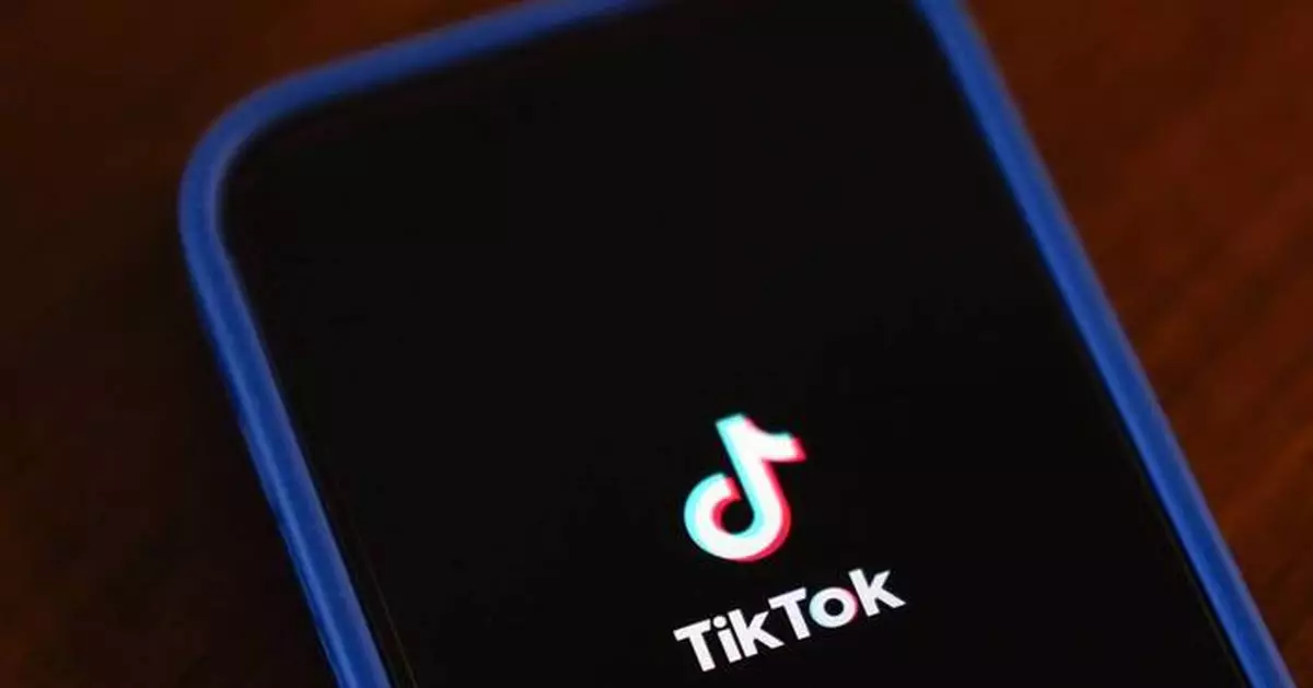 Dutch government recommends children under 15 stay off TikTok and Instagram