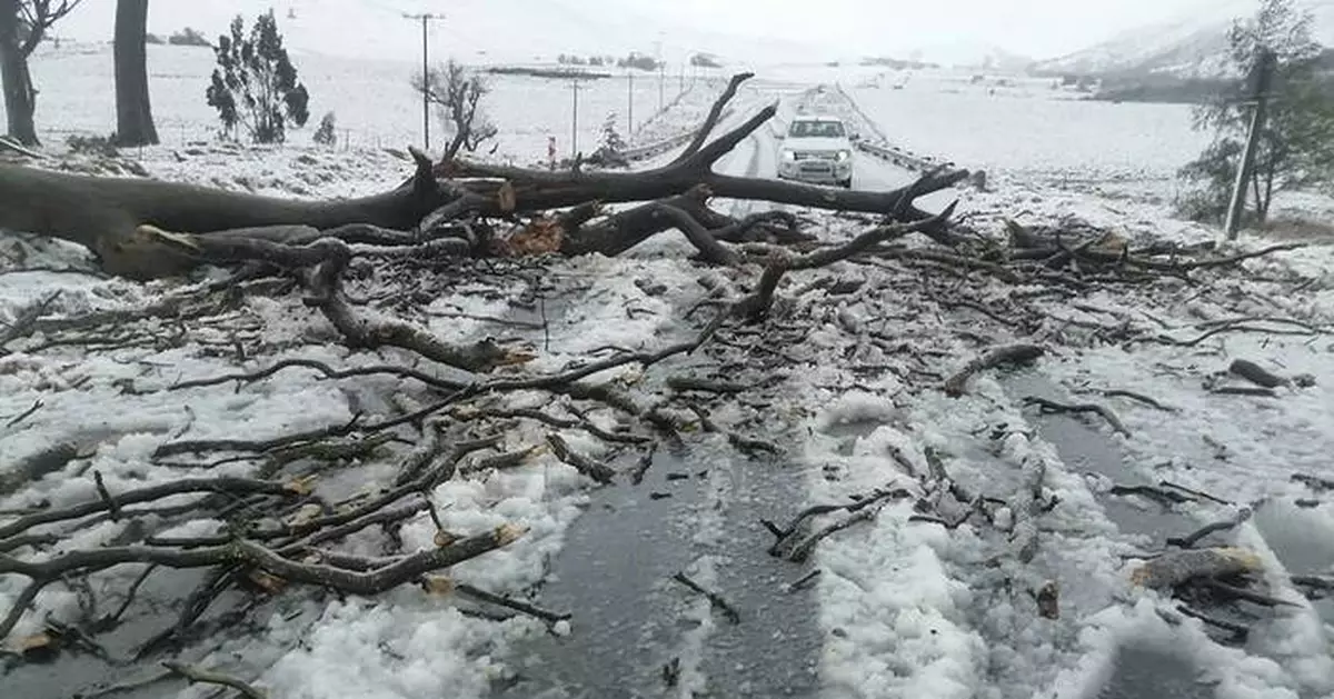 At least 49 people have died in flooding in South Africa with toll expected to rise, officials say