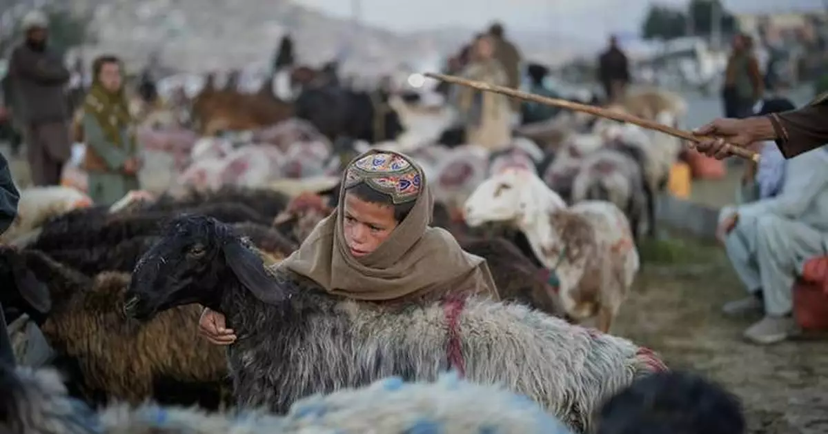 AP PHOTOS: Afghans mark Eid al-Adha on its fourth year since the return of the Taliban