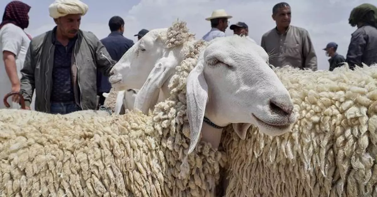 Drought, rising prices and dwindling herds undercut this year's Eid al-Adha in North Africa