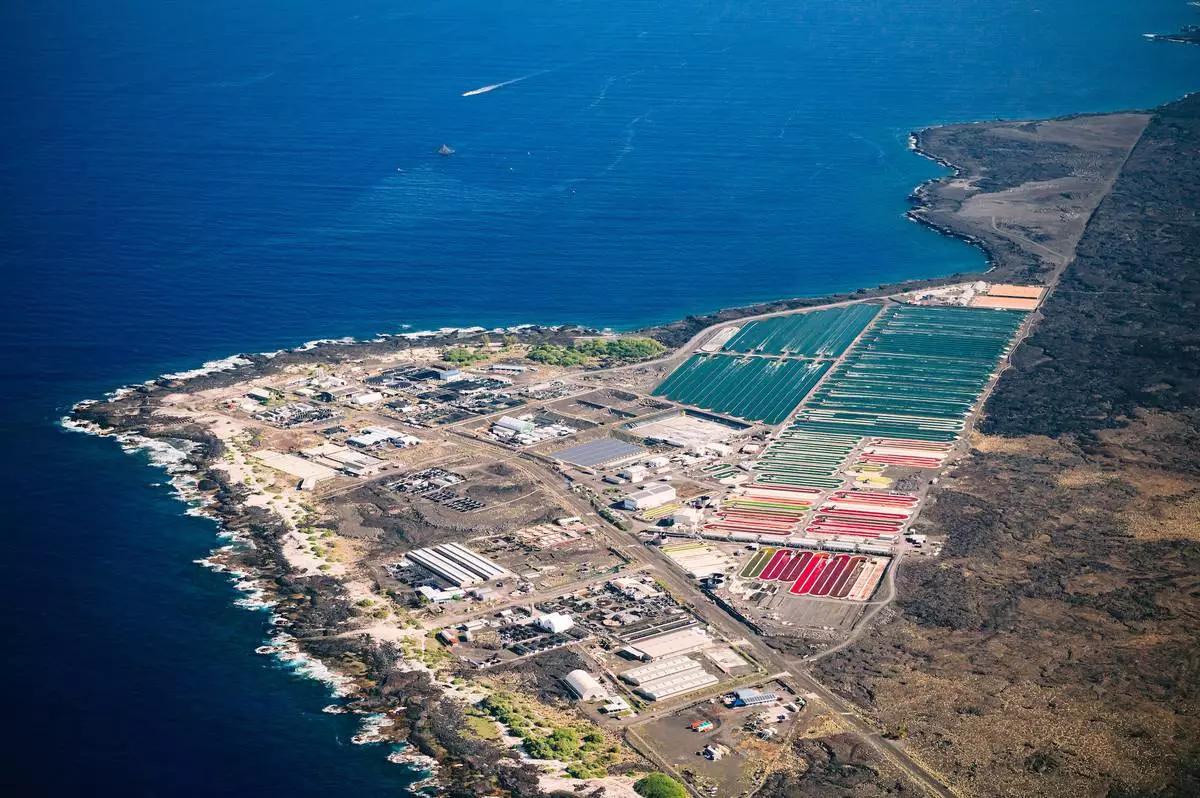 Aerial view of the Kailua-Kona coastline and Hawaiian farm where BioAstin Hawaiian Astaxanthin is grown adjacent to a clear blue ocean surrounding the land, showcasing a pure, transparent growing region.