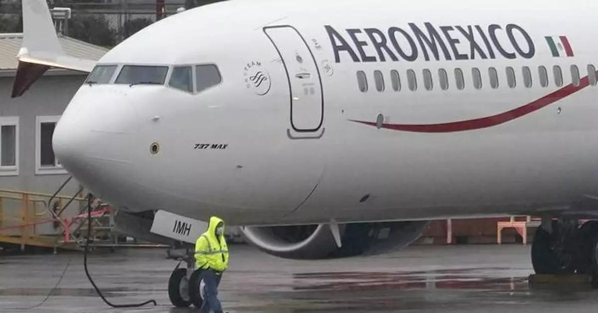 NTSB urges quick fix on Boeing plane engines to prevent smoke from filling cabin after a bird strike