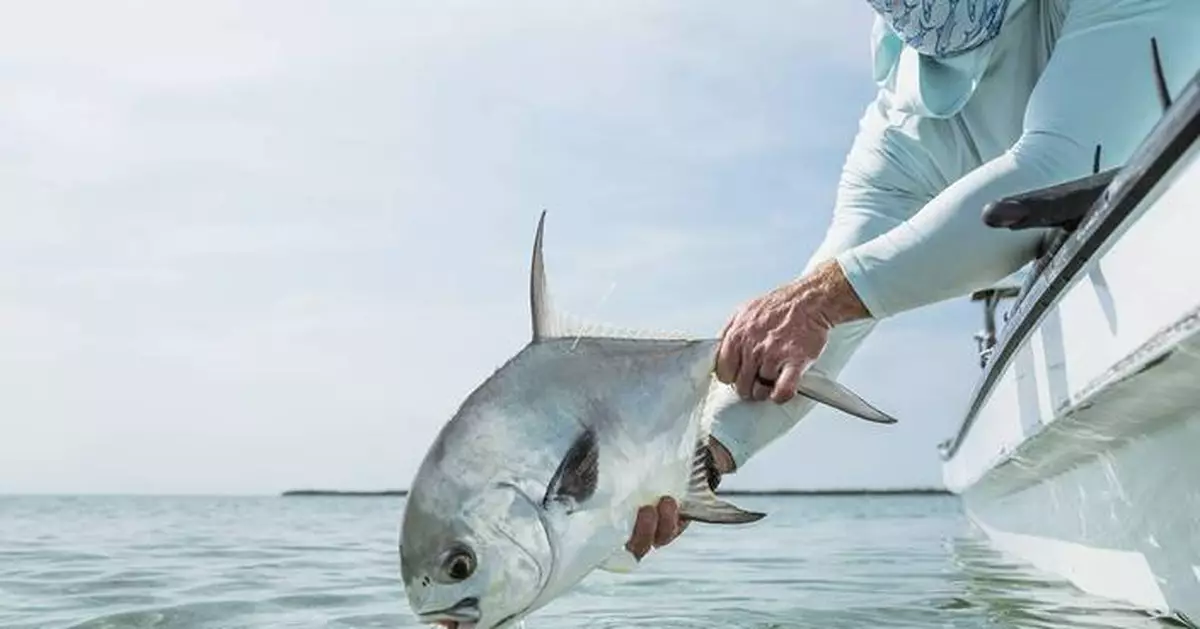 Yamaha Rightwaters and Bonefish &amp; Tarpon Trust Expand Partnership to Advance Critical Marine Research and Habitat Restoration