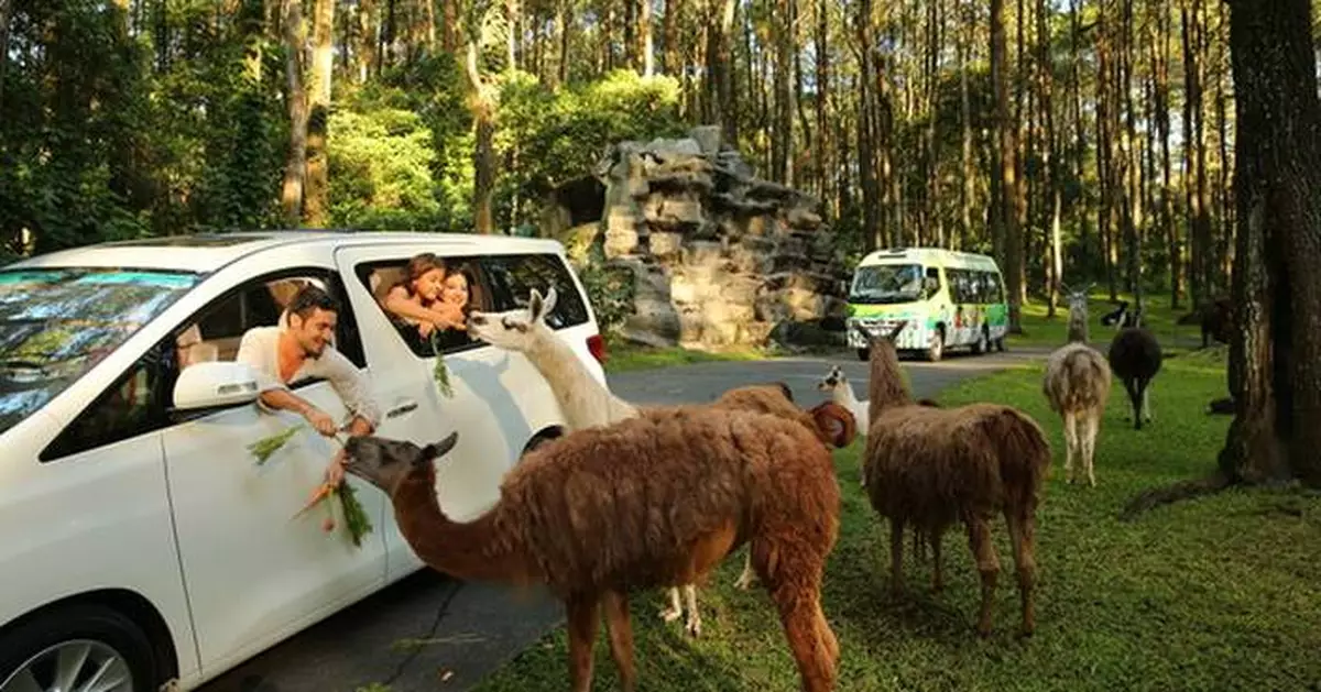 Taman Safari Indonesia Welcomes Korean Travelers with Unlimited Joy Across All Destinations